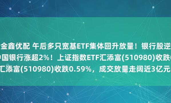 金鑫优配 午后多只宽基ETF集体回升放量！银行股逆市走强，农业银行、中国银行涨超2%！上证指数ETF汇添富(510980)收跌0.59%，成交放量走阔近3亿元！